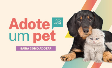 CAS_020_25_ADOCAO_PET_JAN_ROTATIVO_375x230px.jpg